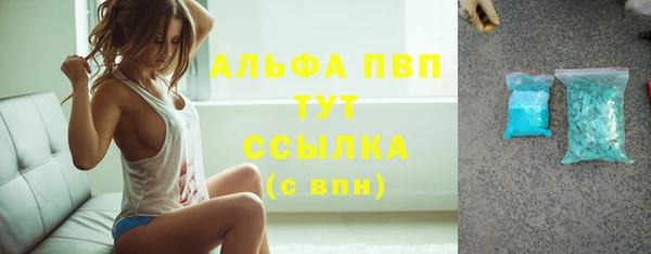 СК Гусь-Хрустальный