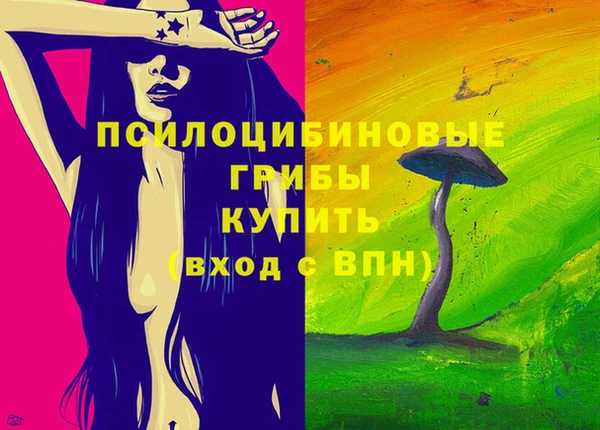 ПСИЛОЦИБИНОВЫЕ ГРИБЫ Гусев