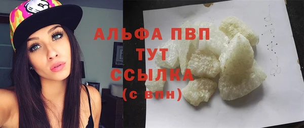 ПСИЛОЦИБИНОВЫЕ ГРИБЫ Гусев