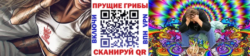 Купить закладки  Волгодонск  Псилоцибиновые грибы Cubensis 